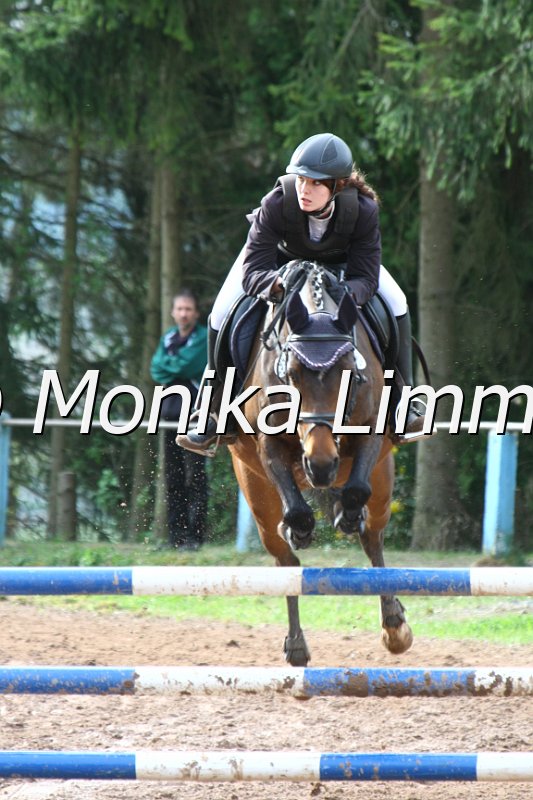 204M8999_Wolfseins Balentine_Stil Ax.JPG